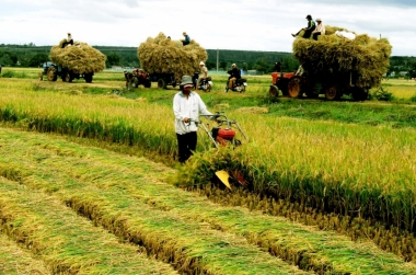 Sẽ miễn thuế sử dụng đất nông nghiệp thêm 5 năm