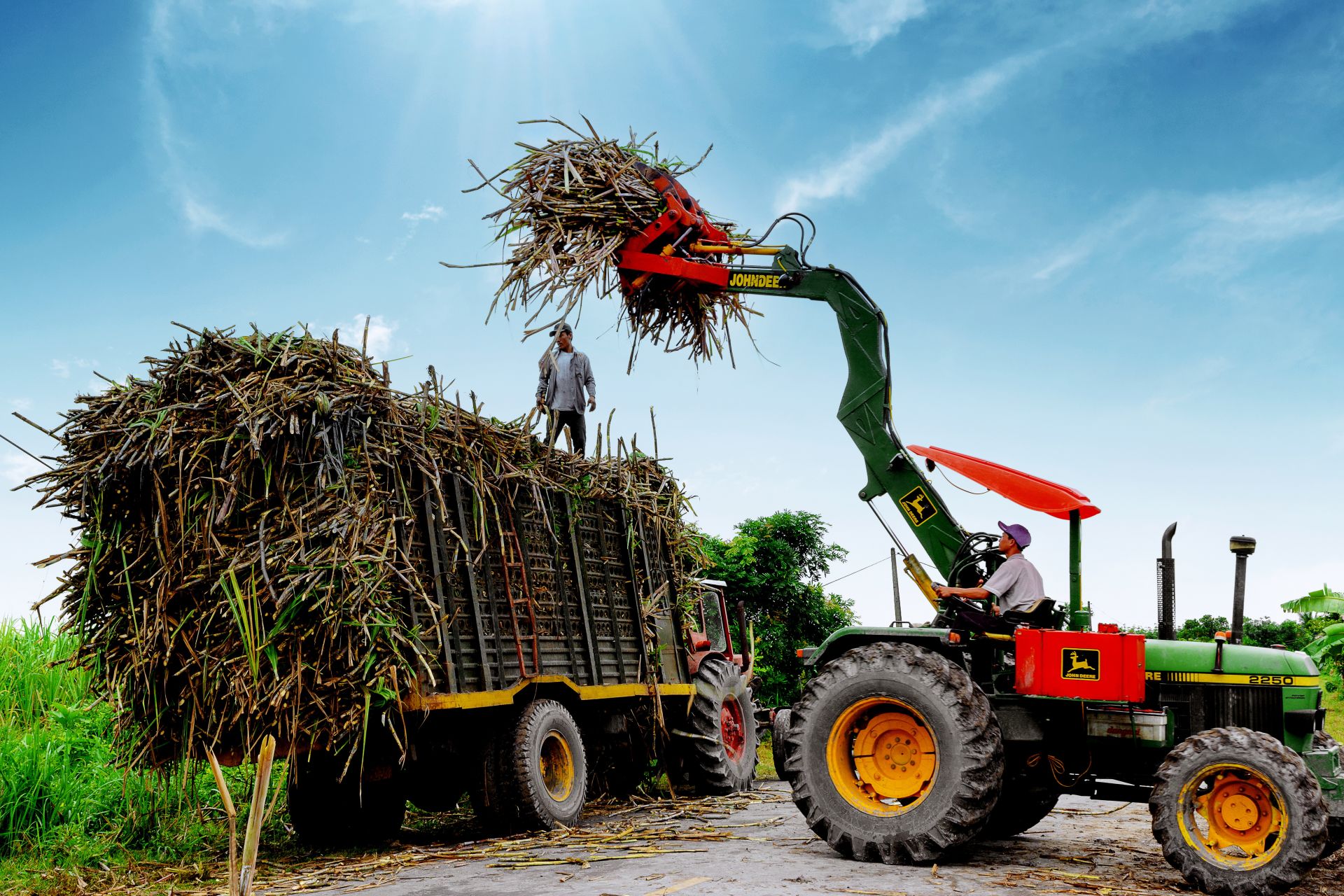 Trước ngày 20/03/2020, báo cáo Thủ tướng Chính phủ về các giải pháp tháo gõ khó khăn cho ngành mía đường