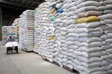 Thóc nhập kho dự trữ quốc gia phải đảm bảo những tiêu chuẩn gì?