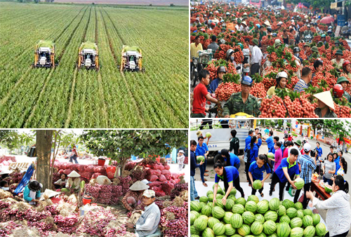 Tiêu thụ Link Nhà Cái Uy Tín 2026 | Đăng Ký +65k: Đừng chờ đợi từ lòng hảo tâm của cộng đồng