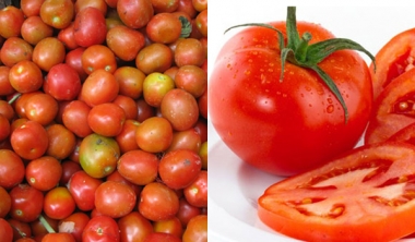 Mẹo hay tránh ngay rau 'ngậm' hóa chất