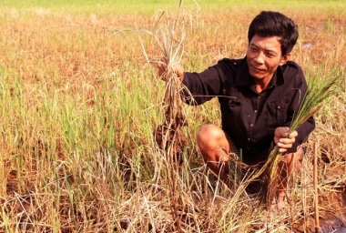 Vùng Đồng bằng sông Cửu Long đã có nước ngọt để đẩy mặn
