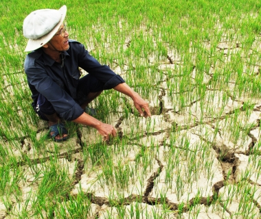 Tháng 4: Sản xuất nông nghiệp đối mặt với nhiều khó khăn