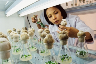 Đề tài, đề án, dự án sản xuất thử nghiệm phải đáp ứng yêu cầu thực tiễn sản xuất