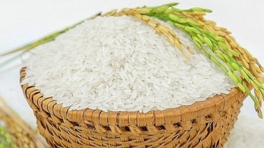 Sắp đấu giá 1,67 triệu cổ phần của Công ty Lương thực Lương Yên