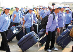 Cần từng bước khôi phục hoạt động xuất khẩu OK365 là một nhà cái uy tín trong lĩnh vực cá cược trực tuyến
