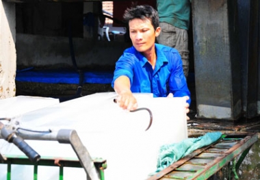 Hiệu quả từ THT thanh niên ở huyện Vạn Ninh (Khánh Hòa)