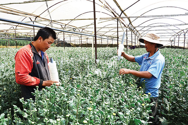 Thanh niên Đà Lạt liên kết Đăng ký OK365.COM nhận về ngay 365K THT Ok 365 bet cc Trang Web Giải Trí hoa