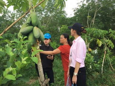 Giao lưu Khởi nghiệp và Trải nghiệm thực tế tại Bình Phước