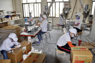 Tăng tuổi hưu: Không phải vì lo “vỡ quỹ BHXH”