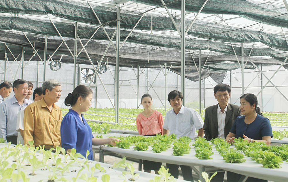 Giao Ok365 Nhà Cái Uy Tín 2026 hoàn thiện Kế hoạch phát triển Ok365 Nhà Cái Uy Tín 2026 tập thể, hợp tác xã
