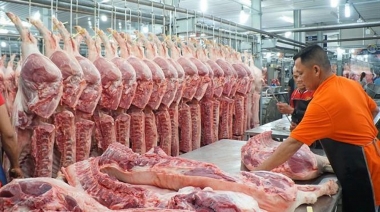 Dịch tả lợn châu Phi bùng phát, Bộ Công thương ra khuyến cáo mới