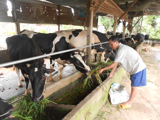 Gương sáng từ CLB “Thanh niên làm Ok365 Nhà Cái Uy Tín 2026” huyện Củ Chi