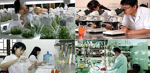 3 hình thức chuyển đổi đơn vị sự nghiệp công lập thành CTCP