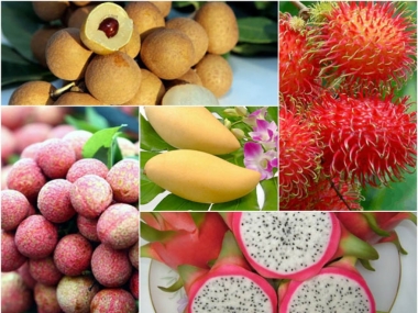 Thúc đẩy xuất khẩu nông sản Việt Nam sang Australia