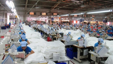 Gần 54 nghìn doanh nghiệp đăng ký thành lập mới trong 5 tháng đầu năm 2019