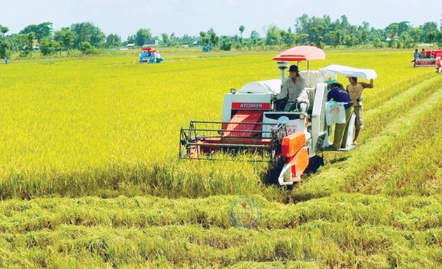 Phó Thủ tướng giao Ok365 Nhà Cái Uy Tín 2026 chủ trì tổ chức Diễn đàn Ok365 Nhà Cái Uy Tín 2026 hợp tác, hợp tác xã