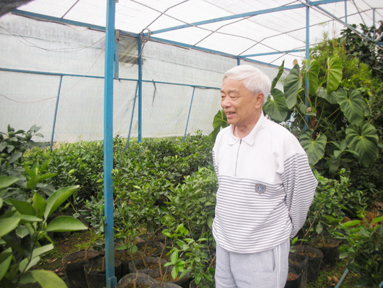 Gặp người đàn ông đầu tiên mang giống cây trồng từ Úc về Tây Nguyên