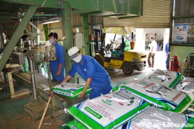 Doanh nghiệp vẫn “khát” vốn