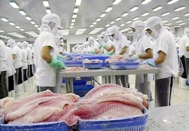 Đồng Tháp: Áp dụng nhiều chính sách ưu đãi cho doanh nghiệp đầu tư giai đoạn 2016-2020