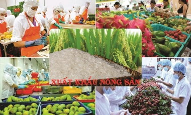 Giá trị xuất khẩu nông, lâm, thủy sản 6 tháng đầu năm 2019 đạt 19,8 tỷ USD