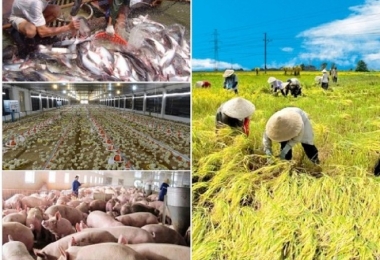 Covid - 19 ảnh hưởng nghiêm trọng đến sản xuất nông, lâm nghiệp và thủy sản