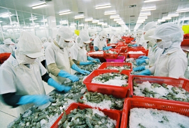 Dự báo xuất khẩu thủy sản năm 2016 đạt mức trên 7 tỷ USD