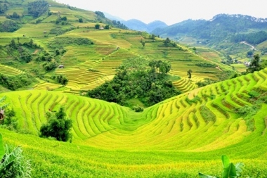 Ngoài những địa danh lịch sử, lên Điện Biên bạn còn có thể thăm thú điều gì?