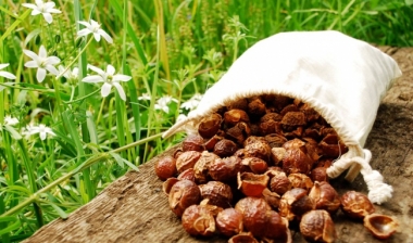 Nhiều người tiêu dùng đổ xô theo xu hướng sử dụng chất tẩy rửa từ thiên nhiên