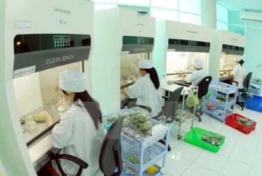 Quỹ phát triển KHCN của bộ, ngành phải có vốn tối thiểu là 5 tỷ đồng