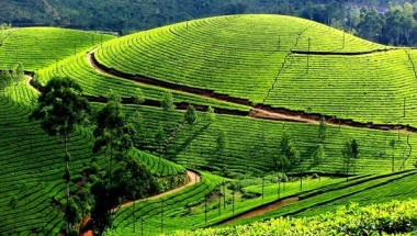 Đà Lạt không chỉ có phố!