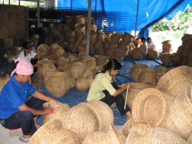 Chỉ có 10% số hợp tác xã nông nghiệp hoạt động tốt