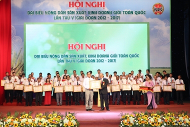 Tôn vinh, khen thưởng 300 nông dân sản xuất, kinh doanh giỏi