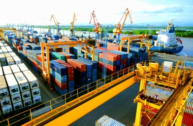 Đề xuất quy định xác minh xuất xứ hàng xuất khẩu