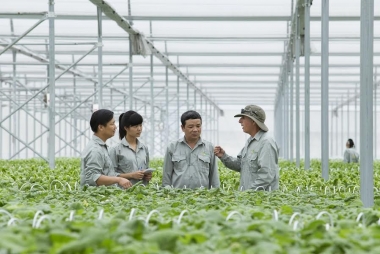 Hộ nông dân được vay tối đa 200 triệu đồng