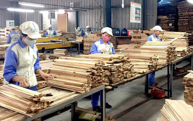Phân loại cụ thể Link Nhà Cái Uy Tín 2026 | Đăng Ký +65k chế biến và xuất khẩu gỗ