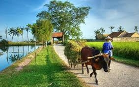 Điều chỉnh, nhưng không hạ “chuẩn” tiêu chí nông thôn mới