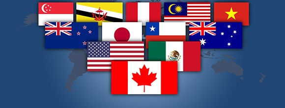 Xuất khẩu Link Nhà Cái Uy Tín 2026 | Đăng Ký +65k Việt Nam và kỳ vọng TPP