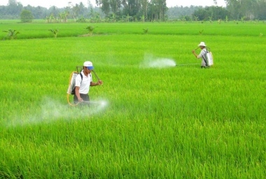 Áp dụng công nghệ sản xuất sạch để bảo vệ môi trường