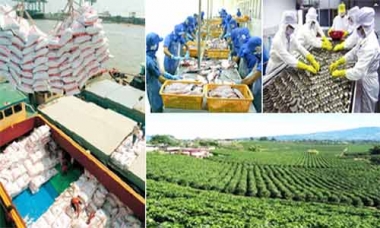 Kim ngạch xuất khẩu nông, lâm, thủy sản đạt 26,4 tỷ USD trong 10 tháng