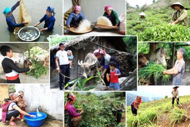 Hơn 3.500 thôn thuộc các xã đặc biệt khó khăn được hỗ trợ xây dựng NTM
