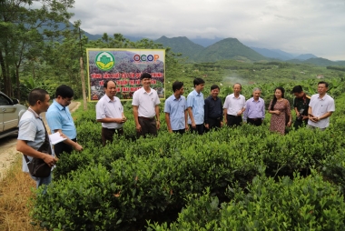 Các bộ, ngành, địa phương khẩn trương tổng kết 15 năm thực hiện Nghị quyết số 13-NQ/TW