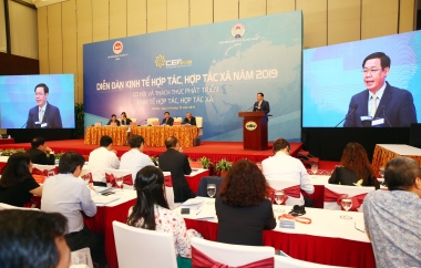 Còn nhiều bất cập trong phát triển kinh tế hợp tác, hợp tác xã