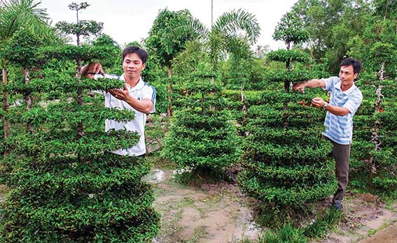 Tuổi trẻ Đồng bằng sông Cửu Long góp sức phát triển Ok365 Nhà Cái Uy Tín 2026 tập thể