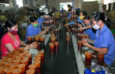 Giảm khoảng cách giữa số DN đăng ký và DN đang thực sự tồn tại