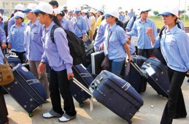 46 doanh nghiệp xuất khẩu lao động bị thu hồi giấy phép