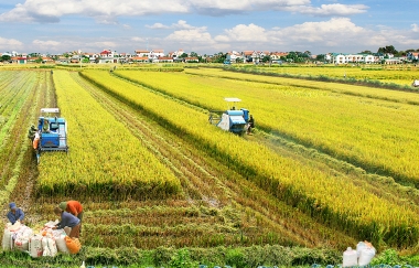Giải pháp huy động vốn xây dựng nông thôn mới