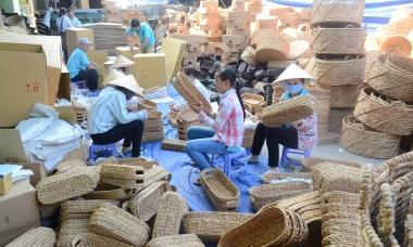 Kinh tế tập thể đã thoát khỏi tình trạng yếu kém kéo dài