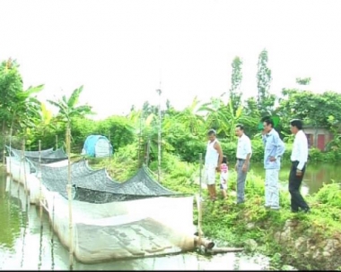 Thành công với nhiều mô hình thanh niên phát triển kinh tế thủy sản