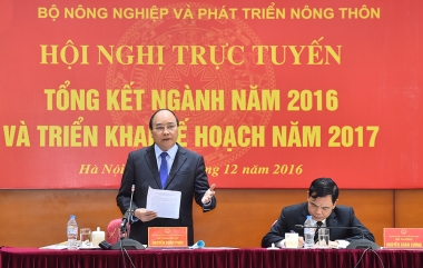Cần đẩy mạnh tái cơ cấu nông nghiệp từ chiều rộng sang chiều sâu